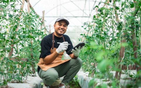 Técnico en Administración de la Producción Agropecuaria y Agroindustrial AIEP.